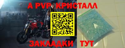 шишки Шелехов